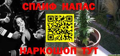 амф Рыбинск