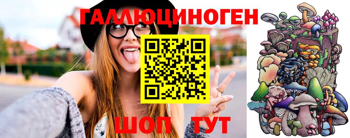 Псилоцибиновые грибы Psilocybine cubensis  Галлюциногенные грибы Cubensis  Вход с VPN  дарнет шоп  Орск 