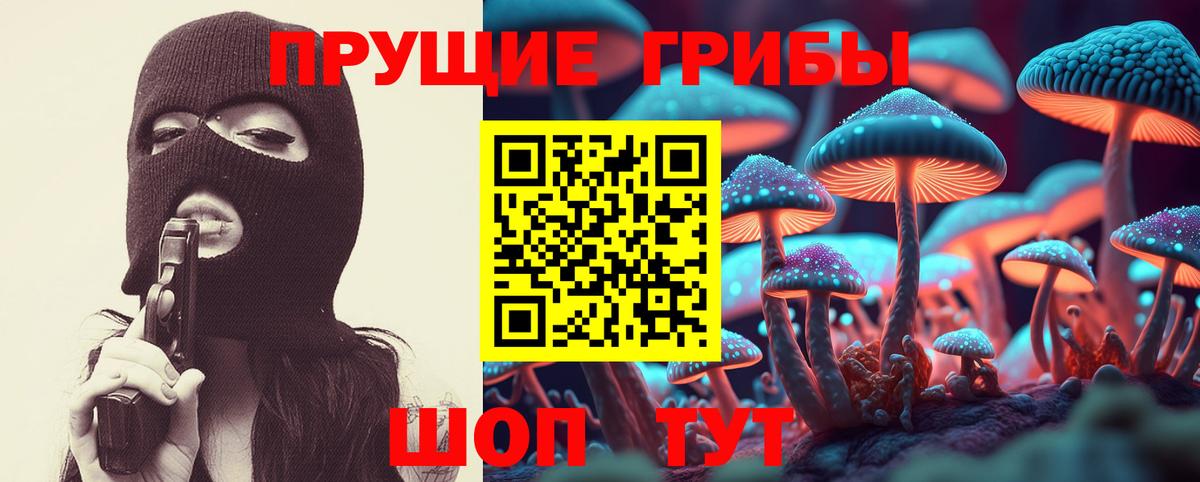 Псилоцибиновые грибы Psilocybe Орск